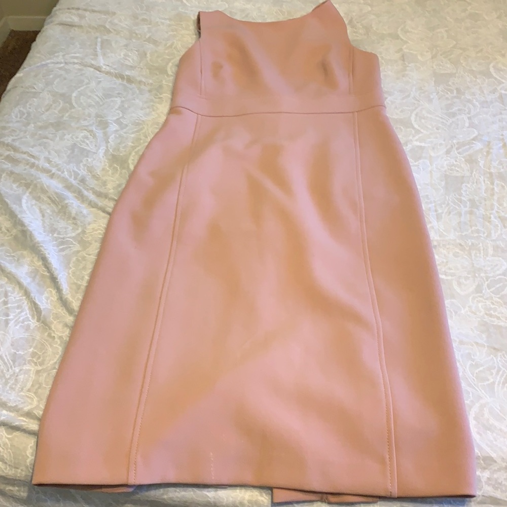 Ann Taylor Rose Pink Office Dress